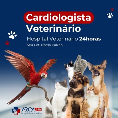 Cardiologia veterinária em Água Chata, Guarulhos
