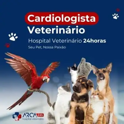 Cardiologia veterinária no Inocoop, Guarulhos