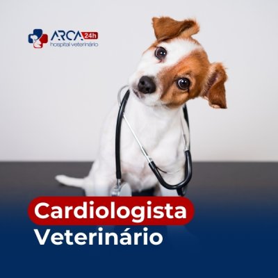 Cardiologista veterinário em Itaquaquecetuba