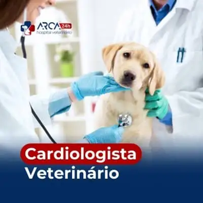 Cardiologista veterinário em Jardim Albertina