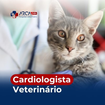 Cardiologista veterinário no Soberana em Guarulhos