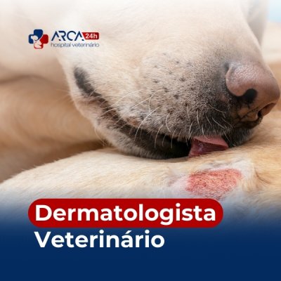 Dermatologista veterinário em Cidade Serodio, Guarulhos - SP