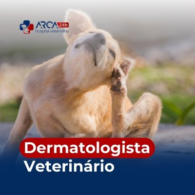 Dermatologista veterinário em Jardim Maria Rosa