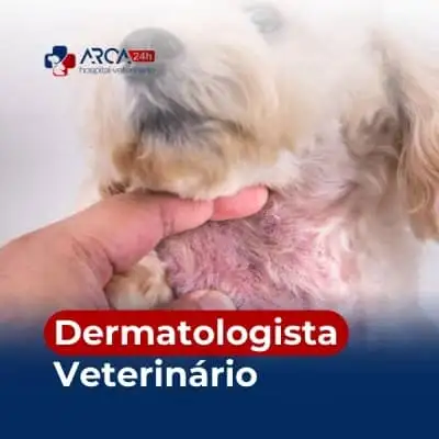 Dermatologista veterinário em Vila Carmela