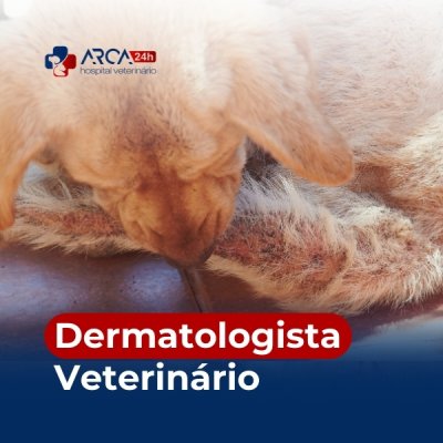 Dermatologista veterinário em Vila Nova Bonsucesso