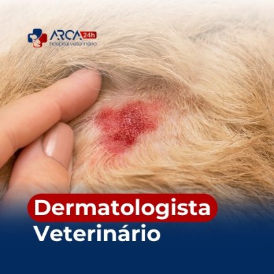 Dermatologista veterinário no Jardim Triunfo