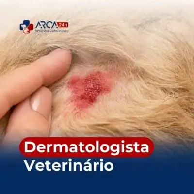Dermatologista veterinário no Parque Residencial Bambi