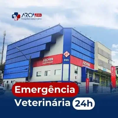 Emergência veterinária no Jardim Triunfo