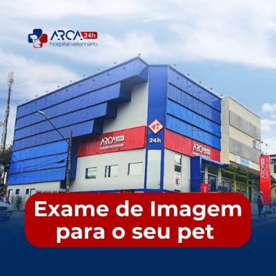 Exames de imagem veterinário em Jardim Albertina