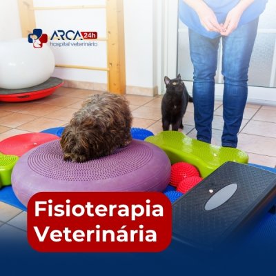 Fisioterapeuta veterinário em Jardim Normandia