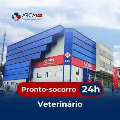 Pronto socorro veterinário 24h em Jardim Normandia