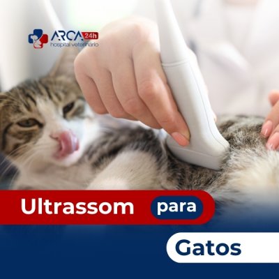 Ultrassom para gatos em Jardim Presidente Dutra