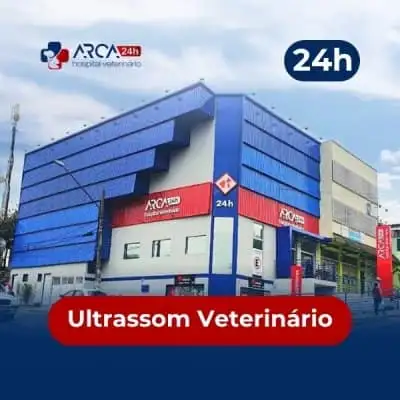 Ultrassonografia veterinária em Jardim Maria Dirce