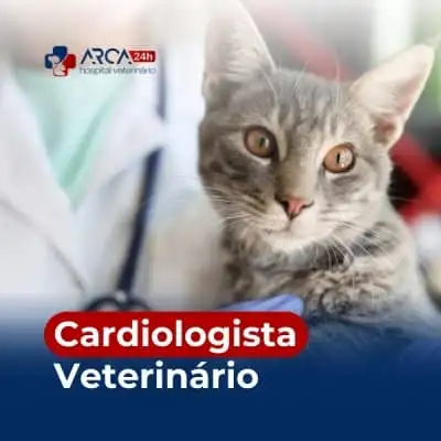 Veterinário cardiologista em Vila Izabel
