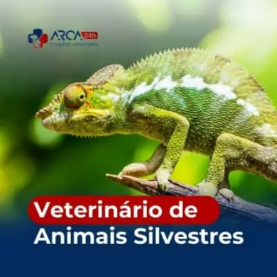 Veterinário de animais silvestres em Jardim Maria Rosa