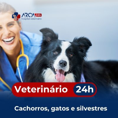 Veterinário para cachorro em São Paulo