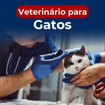 Veterinário para gatos no Jardim Pres. Dutra, Guarulhos