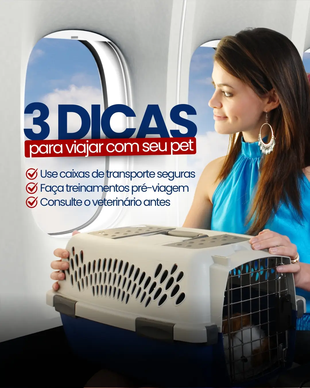 3 dicas para viajar com o pet