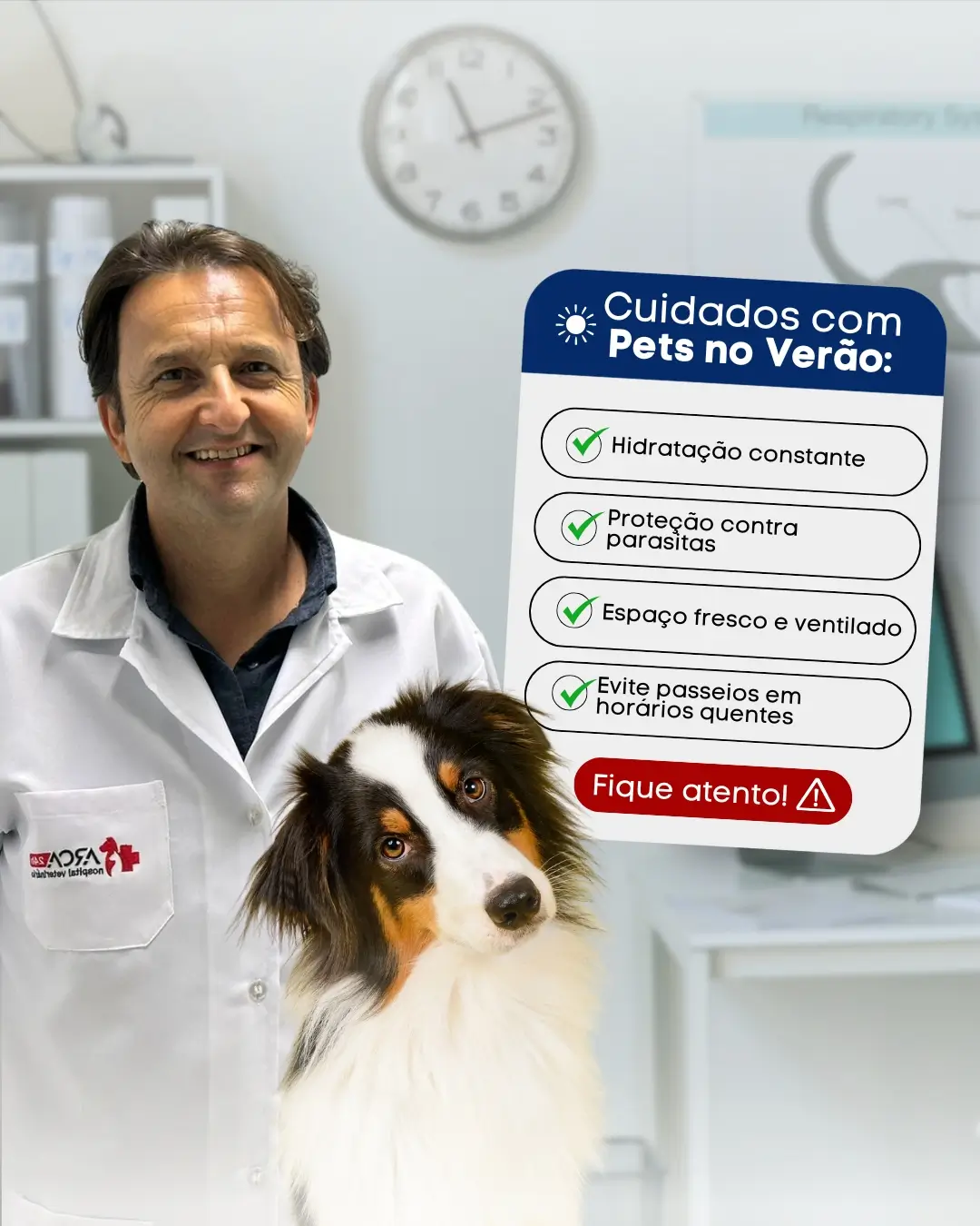 Cuidados com pets no verão