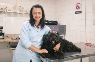 6 Consultórios