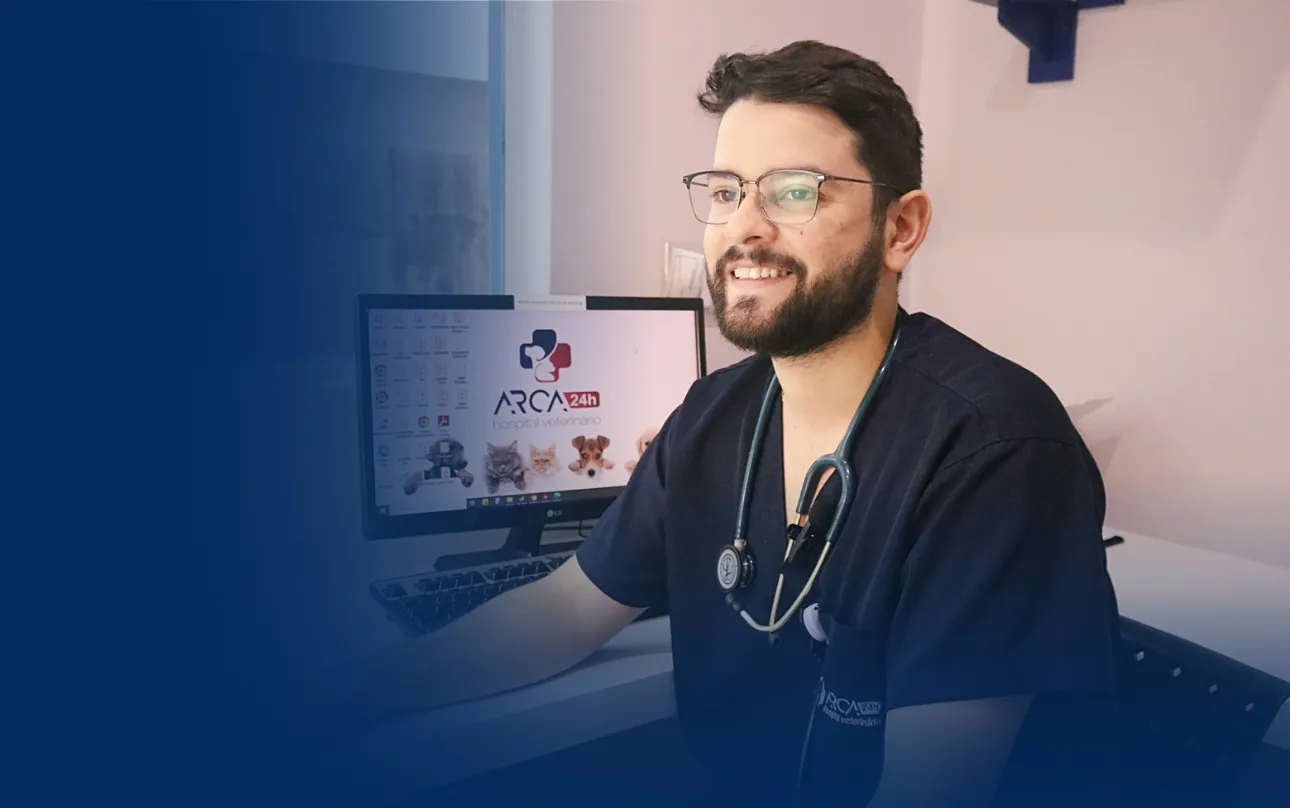 Sobre a Arca 24h