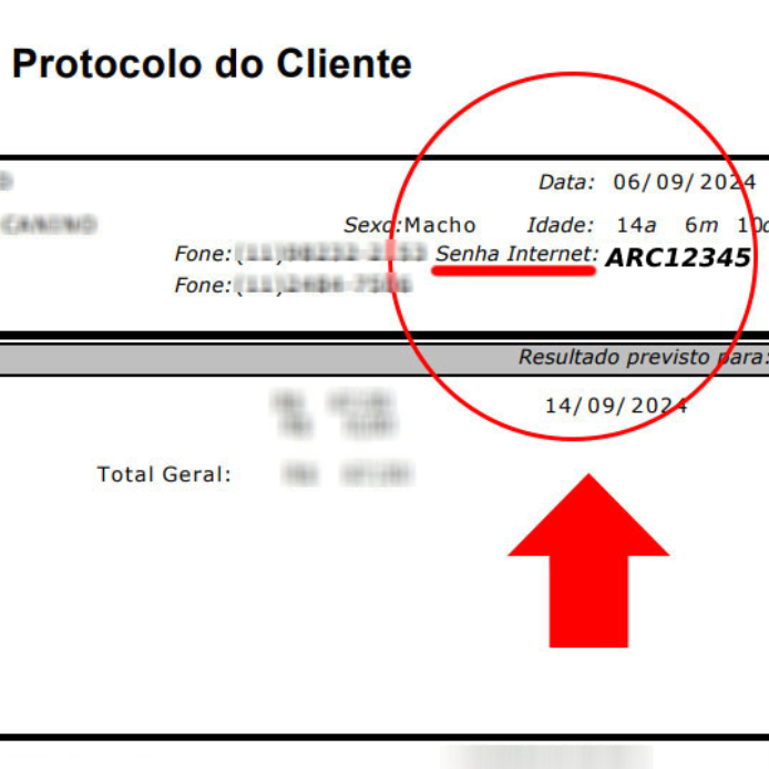 Onde encontro o Protocolo