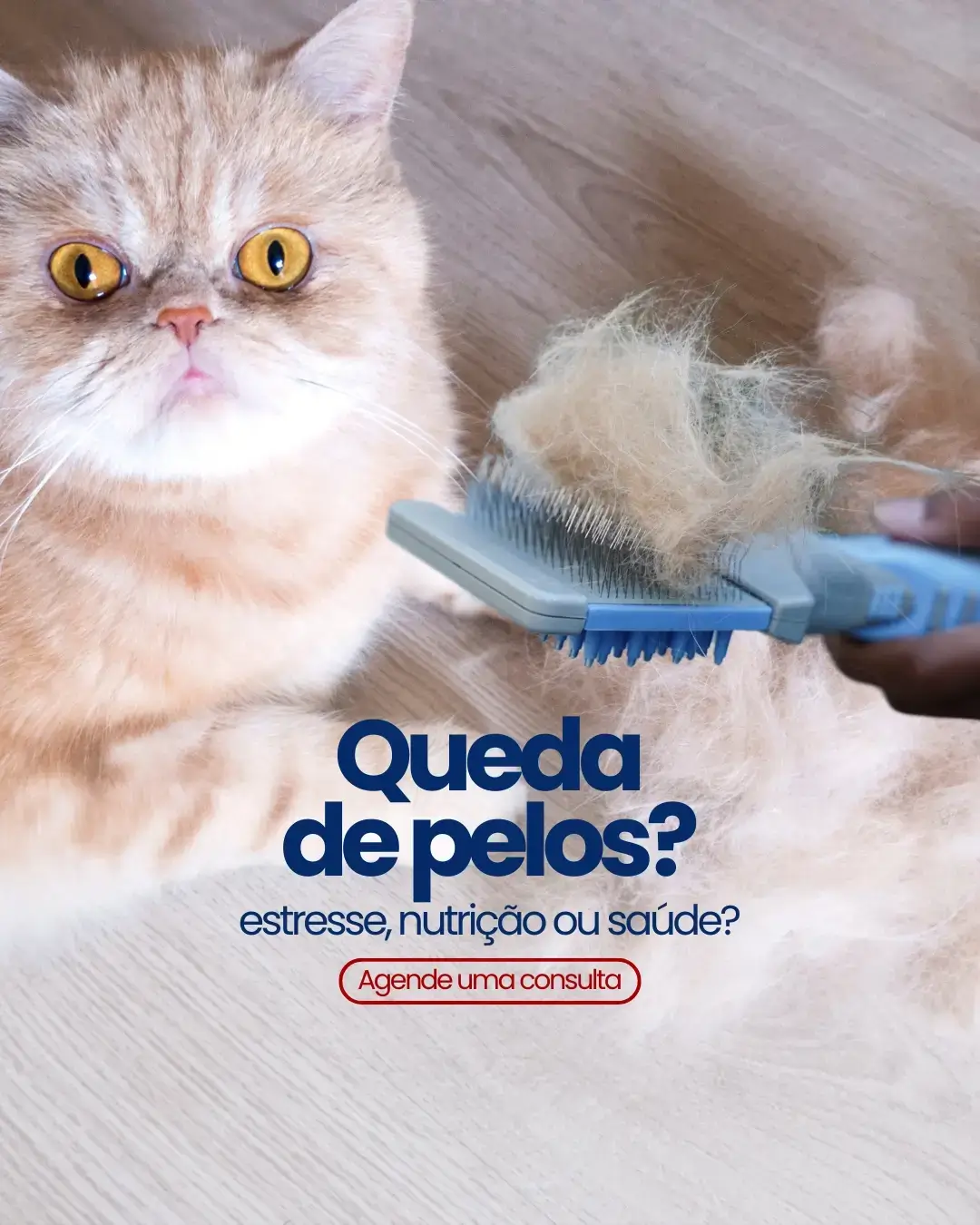 Queda de pelos