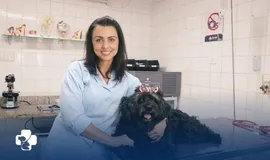 Exames para Pets