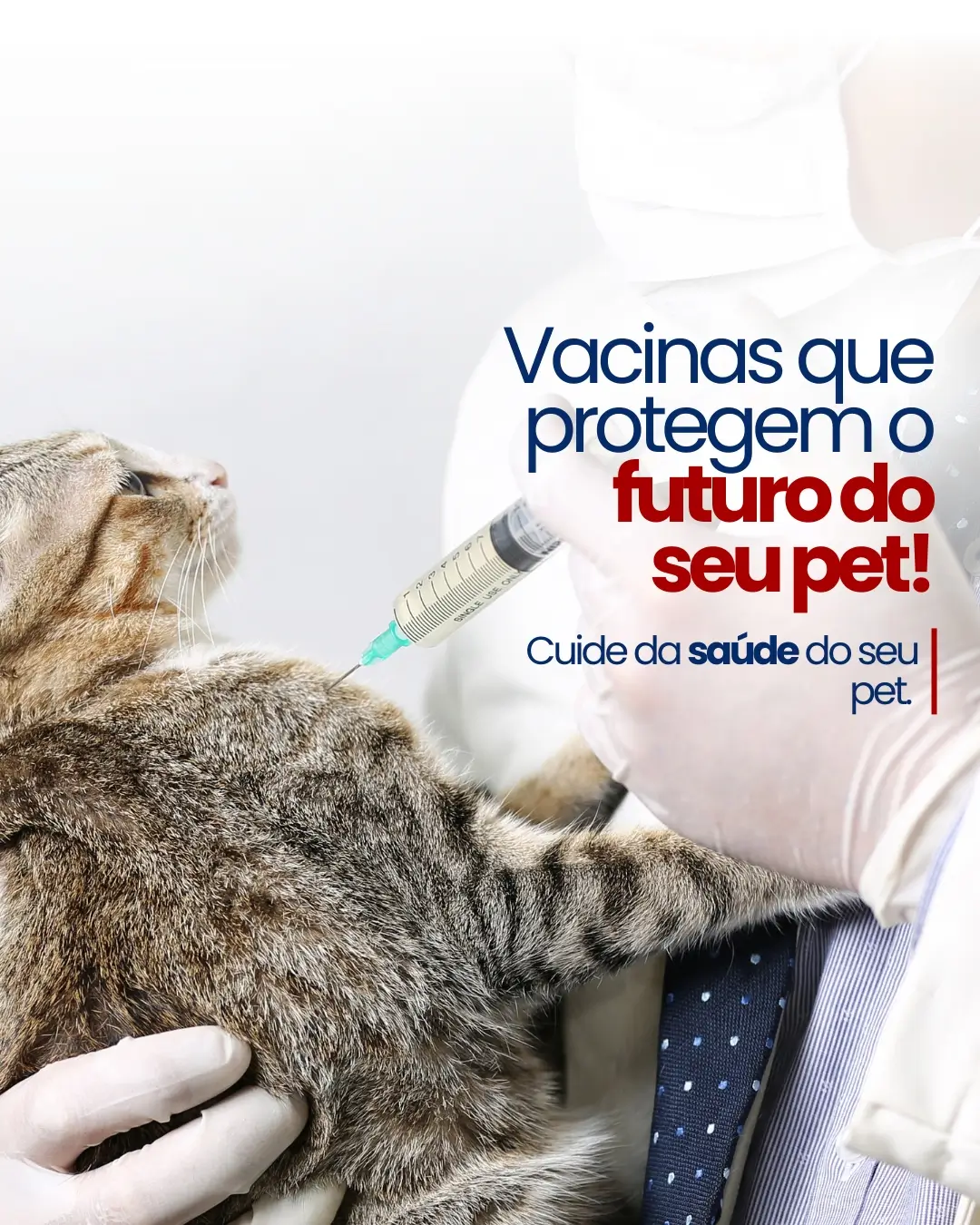 Vacinas que protegem